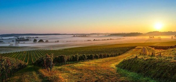 Les vacances en famille idéales au Médoc