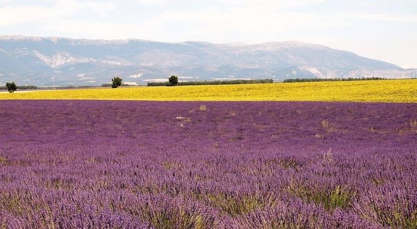 Les plus beaux campings de la Drôme